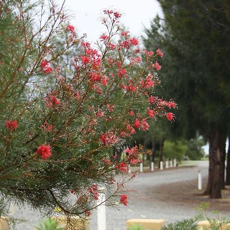 The Heights Bed & Breakfast Bed & Breakfast Jurien Bay Eksteriør bilde