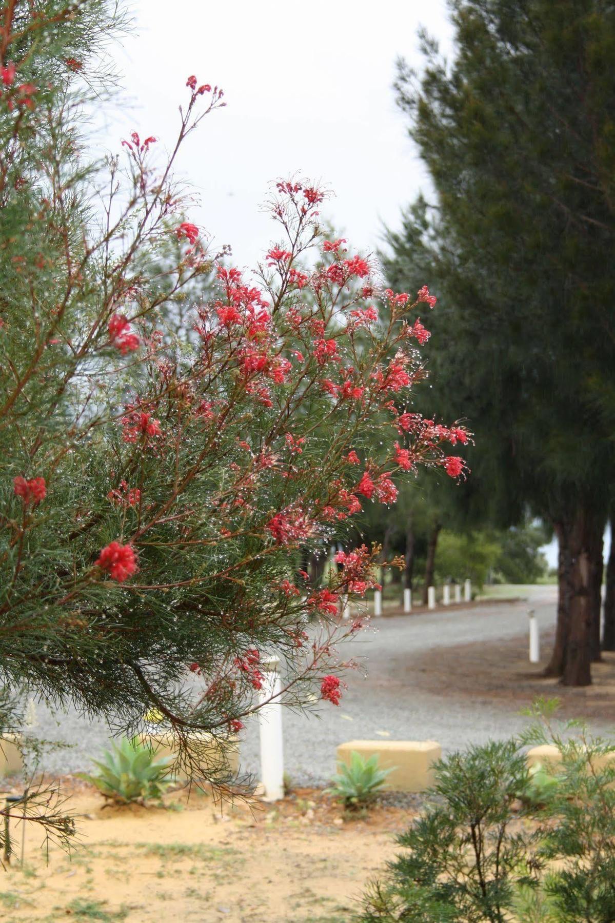 The Heights Bed & Breakfast Bed & Breakfast Jurien Bay Eksteriør bilde